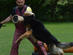 01.07.2023 offenes training 4